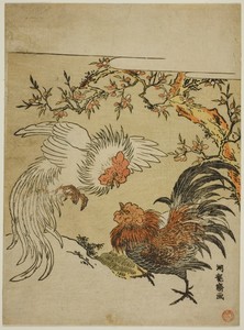 Cocks Fighting Under a Tree by Isoda Koryusai, created c. 1770s, in Color woodblock print; chuban. Download this artwork as a high-resolution wallpaper for desk — Art Picture