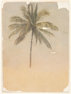 Coconut Palm by Frederic Edwin Church, created 1853–57, in Brush and oil on wove paper. Download this artwork as a high-resolution wallpaper for desktop, tablet — Frederic Edwin Church Wallpaper