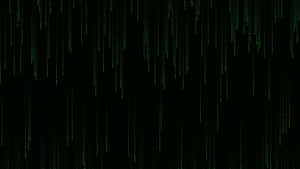 Green digital code falling like rain on a black screen. — Coding Picture