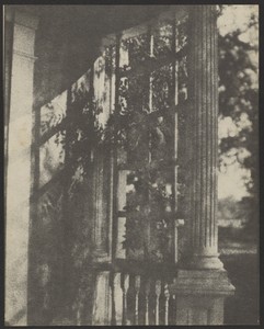 [Columns and Trellis] by Doris Ulmann, created 1916–1925. Download this artwork as a high-resolution wallpaper for desktop, tablet, or mobile. — Art Picture