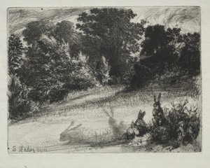 Combe Bottom by Francis Seymour Haden, created 1860, in etching and drypoint. Download this artwork as a high-resolution wallpaper for desktop, tablet, or mobil — Francis Seymour Haden Wallpaper