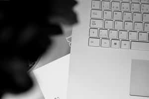 Close-up of laptop keyboard with blurred plant silhouette nearby. — Computer Keyboard Wallpaper