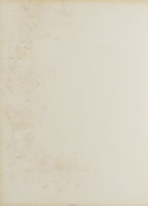 Comte Buol by Mayer & Pierson, created 1856. Download this artwork as a high-resolution wallpaper for desktop, tablet, or mobile. — Mayer & Pierson Wallpaper