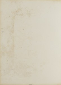Comte Cavour by Mayer & Pierson, created 1856. Download this artwork as a high-resolution wallpaper for desktop, tablet, or mobile. — Art Picture