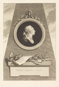 Comte de Buffon by Augustin de Saint-Aubin, created 1798, in engraving over etching on laid paper. Download this artwork as a high-resolution wallpaper for desk — Art Picture