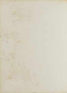 Comte de Hatzfeld by Mayer & Pierson, created 1856. Download this artwork as a high-resolution wallpaper for desktop, tablet, or mobile. — Art Picture