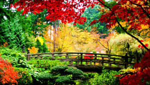 Cool Fall