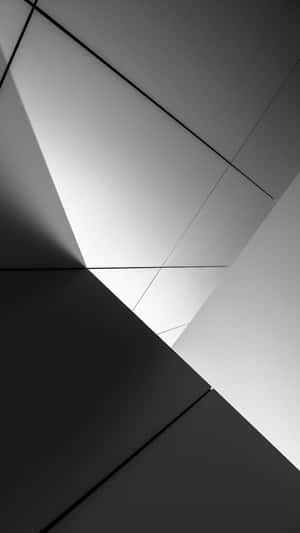 Cool Gray