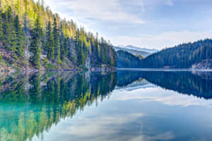 Calm alpine lake reflecting mountains and trees under a clear sky. — Cool Landscape Picture