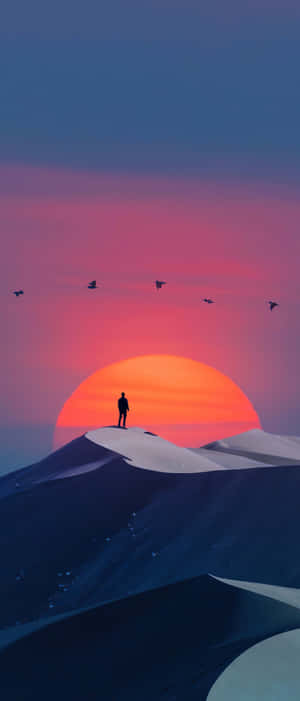 A person stands alone on a snowy mountain peak during a vibrant sunset with birds flying overhead.