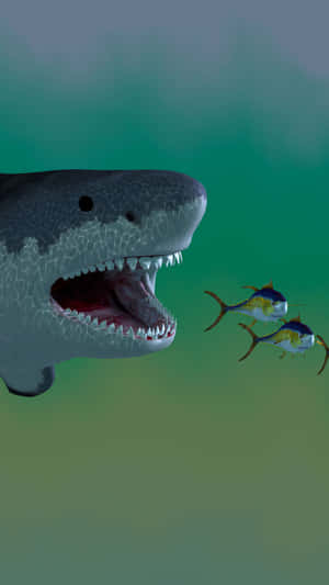 A shark with open jaws chasing two tuna fish underwater.