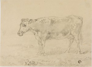 Cow by Sawrey Gilpin, created n.d., in Graphite on cream wove paper. Download this artwork as a high-resolution wallpaper for desktop, tablet, or mobile.