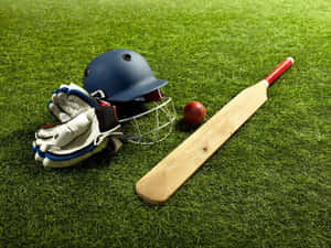 Cricket helmet gloves bat and ball on green grass field — Indian Cricket Picture