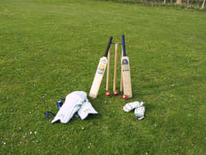 Cricket equipment including bats stumps balls pads and gloves on a grass field. — Melbourne Cricket Ground Picture