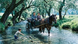 Eine Familie überquert an einem sonnigen Nachmittag mit einem Pferdewagen einen flachen Bach.