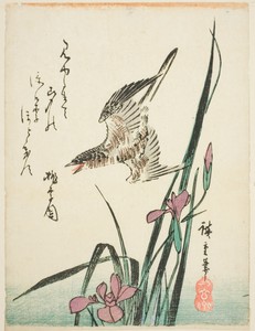 Cuckoo flying over iris by Utagawa Hiroshige, created 1830s, in Color woodblock print; oban. Download this artwork as a high-resolution wallpaper for desktop, t — Utagawa Hiroshige Wallpaper