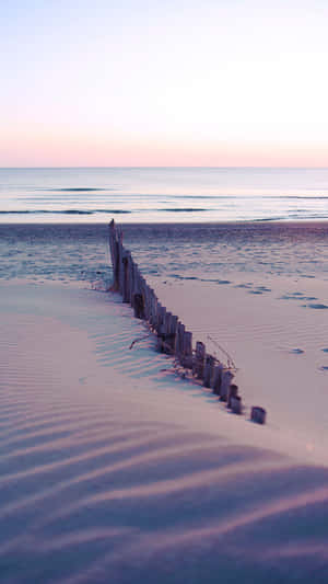 A wooden fence on a sandy beach at sunset with gentle waves and pink sky. — Cute Beach iPhone Picture