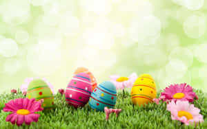 Ovos de Páscoa e margaridas na grama verde com fundo suave e brilhante. — Easter Papéis de Parede