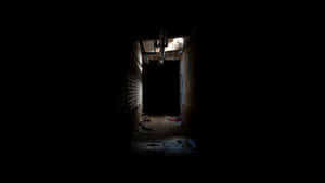 Dark abandoned brick corridor with debris and single overhead light. — Nightmare Moon Picture