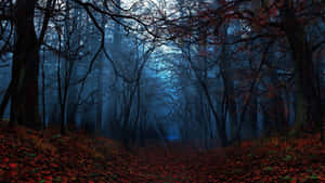 Un sendero brumoso en el bosque cubierto de hojas rojas bajo un cielo azul crepuscular. — Esquina oscura Fondos de pantalla