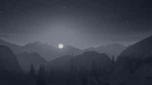 Vale montanhoso iluminado pela lua com pinheiros sob um céu estrelado — Tema escuro Papéis de Parede