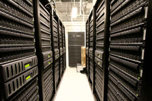 Lång korridor av svarta serverrack med gröna lampor i ett datacenter — Data Bilder