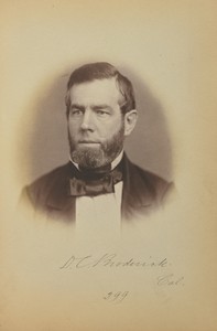 David C. Broderick by James Earle McClees, created about 1859. Download this artwork as a high-resolution wallpaper for desktop, tablet, or mobile. — Art Picture