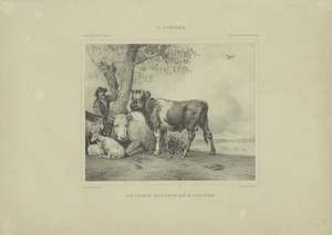 De jonge stier by Gerhardus Fredericus Eilbracht, created 1837 - 1840, in paper; lithography. Download this artwork as a high-resolution wallpaper for desktop, — Gerhardus Fredericus Eilbracht Wallpaper