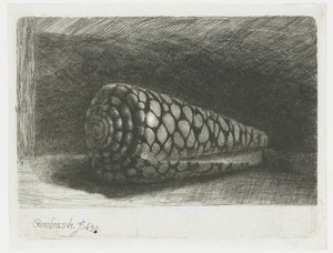 De schelp by Rembrandt van Rijn, created 1650, in paper; etching; burijn; drypoint. Download this artwork as a high-resolution wallpaper for desktop, tablet, or — Rembrandt van Rijn Wallpaper