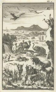 De schepping by Jan Luyken, created 1694, in paper; etching. Download this artwork as a high-resolution wallpaper for desktop, tablet, or mobile. — Art Wallpaper