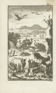 De schepping by Jan Luyken, created 1765, in paper; etching. Download this artwork as a high-resolution wallpaper for desktop, tablet, or mobile. — Art Wallpaper