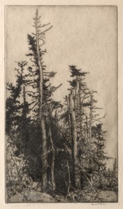 Dead Tree by Ernest Haskell, created 1891–1920, in etching. Download this artwork as a high-resolution wallpaper for desktop, tablet, or mobile. — Ernest Haskell Wallpaper