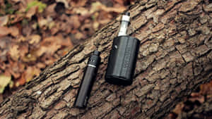 Black vape device and case on a tree trunk with fallen leaves. — 4K Phone Background