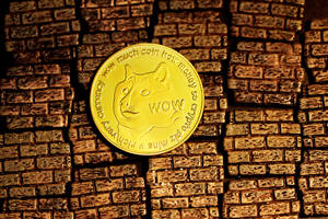 Golden Dogecoin on brick background with warm lighting. — Dog Art Picture