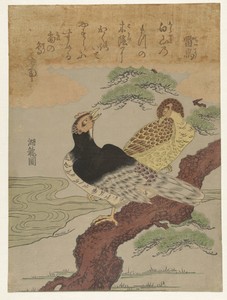 Dondervogels by Isoda Koryusai, created 1770 - 1780, in paper; mica; color woodcut. Download this artwork as a high-resolution wallpaper for desktop, tablet, or — Isoda Koryusai Wallpaper