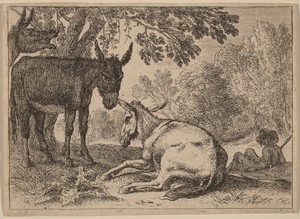 Donkeys by Herman van Swanevelt, in etching. Download this artwork as a high-resolution wallpaper for desktop, tablet, or mobile. — Herman van Swanevelt Wallpaper