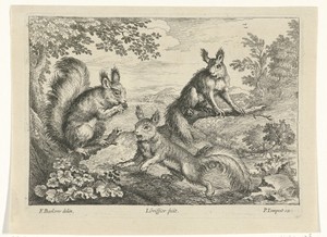 Drie eekhoorns by Jan Griffier (I), created 1680 - 1694, in paper; etching; engraving. Download this artwork as a high-resolution wallpaper for desktop, tablet,