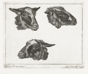 Drie geitenkoppen by Jacobus Cornelis Gaal, created 1850 - 1860, in paper; etching. Download this artwork as a high-resolution wallpaper for desktop, tablet, or — Jacobus Cornelis Gaal Wallpaper