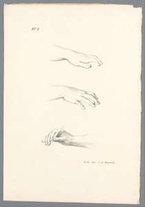 Drie handen by Jean Augustin Daiwaille, created 1796 - 1850, in paper; lithography. Download this artwork as a high-resolution wallpaper for desktop, tablet, or — Jean Augustin Daiwaille Wallpaper