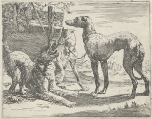 Drie honden by Pauwels van Hillegaert, created 1654, in paper; etching; engraving. Download this artwork as a high-resolution wallpaper for desktop, tablet, or — Pauwels van Hillegaert Wallpaper