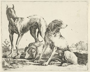 Drie honden by Pauwels van Hillegaert, created 1606 - 1658, in paper; etching. Download this artwork as a high-resolution wallpaper for desktop, tablet, or mobi — Pauwels van Hillegaert Wallpaper