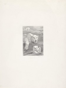 Drie ijsberen by August Allebé, created 1848 - 1927, in paper; chalk lithograph. Download this artwork as a high-resolution wallpaper for desktop, tablet, or mo — August Allebé Wallpaper