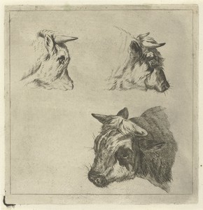 Drie koeienkoppen by Jacobus Cornelis Gaal, created 1854, in paper; etching. Download this artwork as a high-resolution wallpaper for desktop, tablet, or mobile — Jacobus Cornelis Gaal Wallpaper