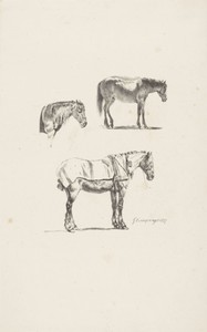 Drie paarden by Gijsbertus Craeyvanger, created 1827, in paper; lithography. Download this artwork as a high-resolution wallpaper for desktop, tablet, or mobile — Gijsbertus Craeyvanger Wallpaper