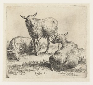 Drie schapen by Nicolaes Pietersz Berchem, created 1646 - 1652, in paper; etching. Download this artwork as a high-resolution wallpaper for desktop, tablet, or — Nicolaes Pietersz Berchem Wallpaper