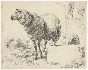 Drie schapen by Nicolaes Pietersz Berchem, created 1648 - 1652, in paper; etching. Download this artwork as a high-resolution wallpaper for desktop, tablet, or — Nicolaes Pietersz Berchem Wallpaper