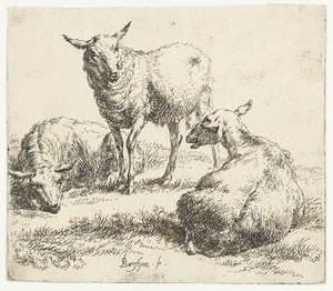 Drie schapen by Nicolaes Pietersz Berchem, created 1646 - 1652, in paper; ink; pen; etching. Download this artwork as a high-resolution wallpaper for desktop, t — Nicolaes Pietersz Berchem Wallpaper