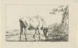 Drinkende stier by Jan Kobell (II), created 1788 - 1814, in paper; etching. Download this artwork as a high-resolution wallpaper for desktop, tablet, or mobile. — Jan Kobell (II) Wallpaper