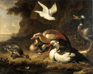 Ducks by Melchior d' Hondecoeter, created c. 1675 - c. 1680, in canvas; oil paint (paint). Download this artwork as a high-resolution wallpaper for desktop, tab — Melchior d' Hondecoeter Wallpaper