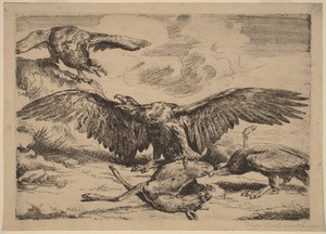 Eagles by Peeter Boel, in etching. Download this artwork as a high-resolution wallpaper for desktop, tablet, or mobile. — Peeter Boel Wallpaper